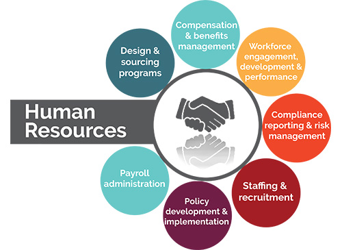 Human Resources Graphic