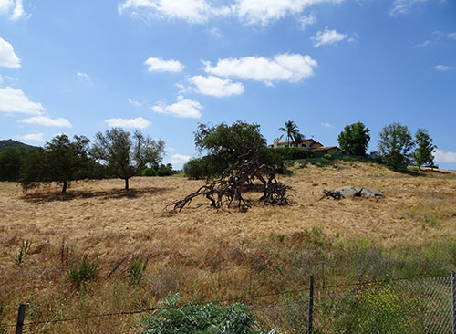 Land Assignment